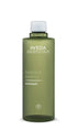 Aveda Botanical Kinetics Exfoliant - 150ml
